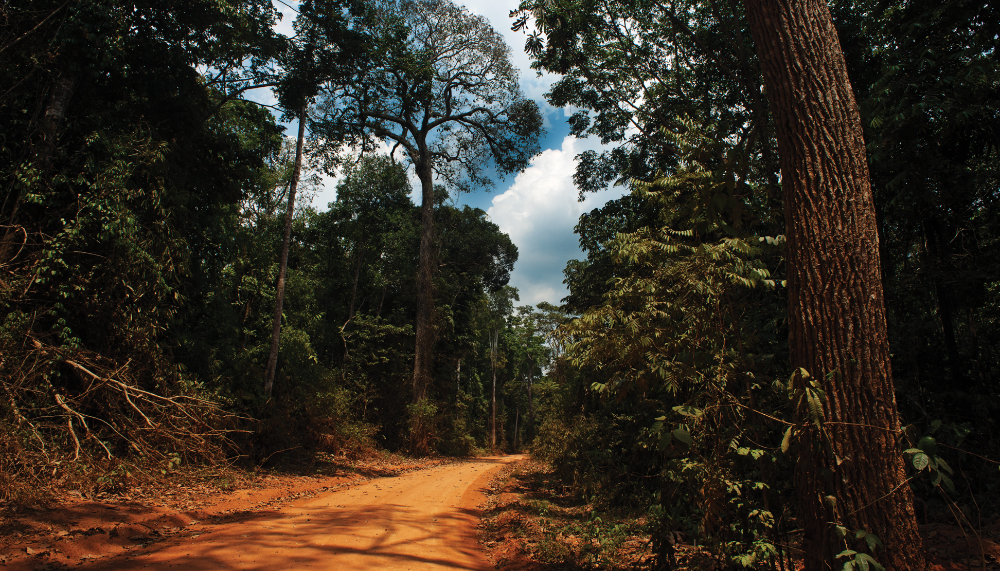 corporacion-otorongo-banner