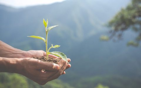 contribuir sostenibilidad adriatic group