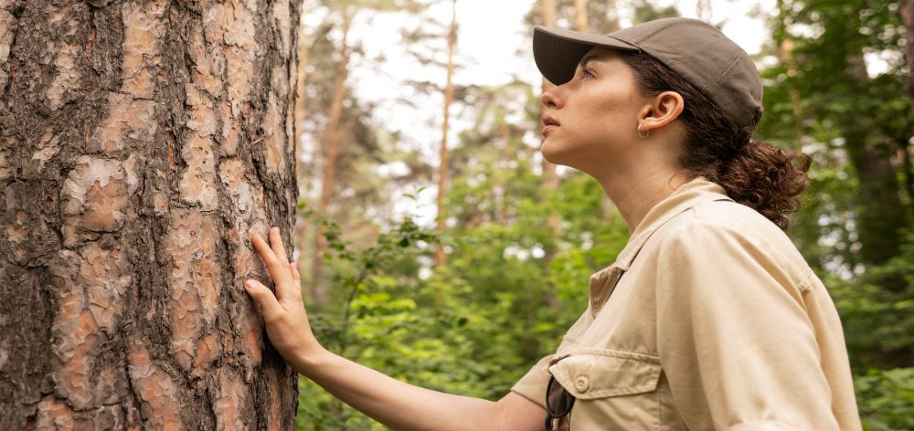 importancia conservacion forestal