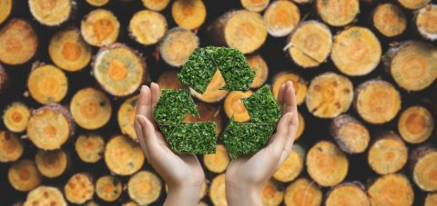 economia circular industria maderera